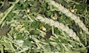 Vorschaubild JR FARM Nager Kräutergarten Raufutter für Kleintiere
