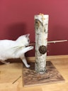 Vorschaubild JR FARM Natur Aktiv-Baum Katzenspielzeug