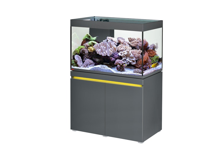 EHEIM incpiria reef 330 Meerwasser-Riff-Aquarium mit Unterschrank
