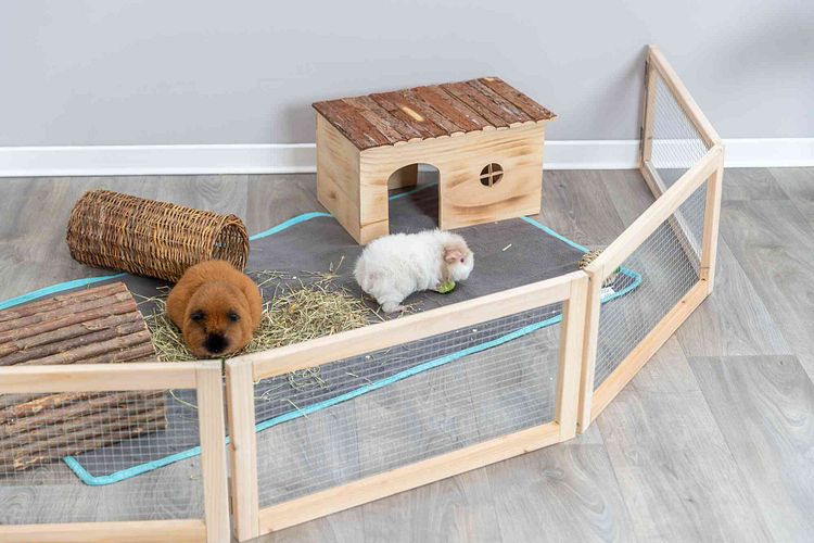TRIXIE Indoor Freilaufgehege, Meerschweinchen, 4 Elemente à 60 × 30 cm