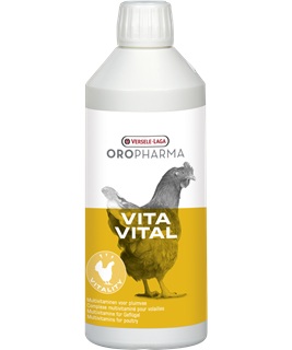 Versele Laga 12 x 500ml Vita Vital-Sparpaket