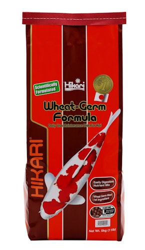 Hikari Wheat-Germ Large Koifutter