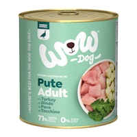 Pute mit Zucchini Varianten Bild