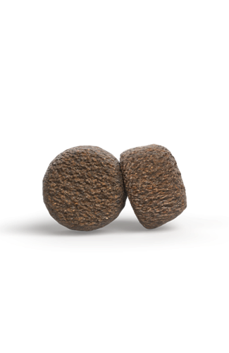 GreenPetfood Sensitive with Insects Hundetrockenfutter