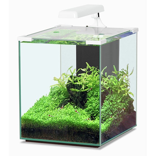 Aquatlantis Nano Cubic 30 LED Aquarium-Set