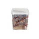 Vorschaubild Classic Dog Snack Super Top Mix 800g im Eimer