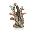 Vorschaubild biOrb Pilzborke Ornament (48363)