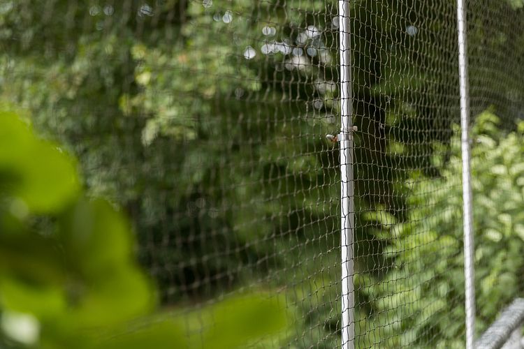 TRIXIE Schutznetz, drahtverstärkt, 2 × 1,5 m, olivgrün