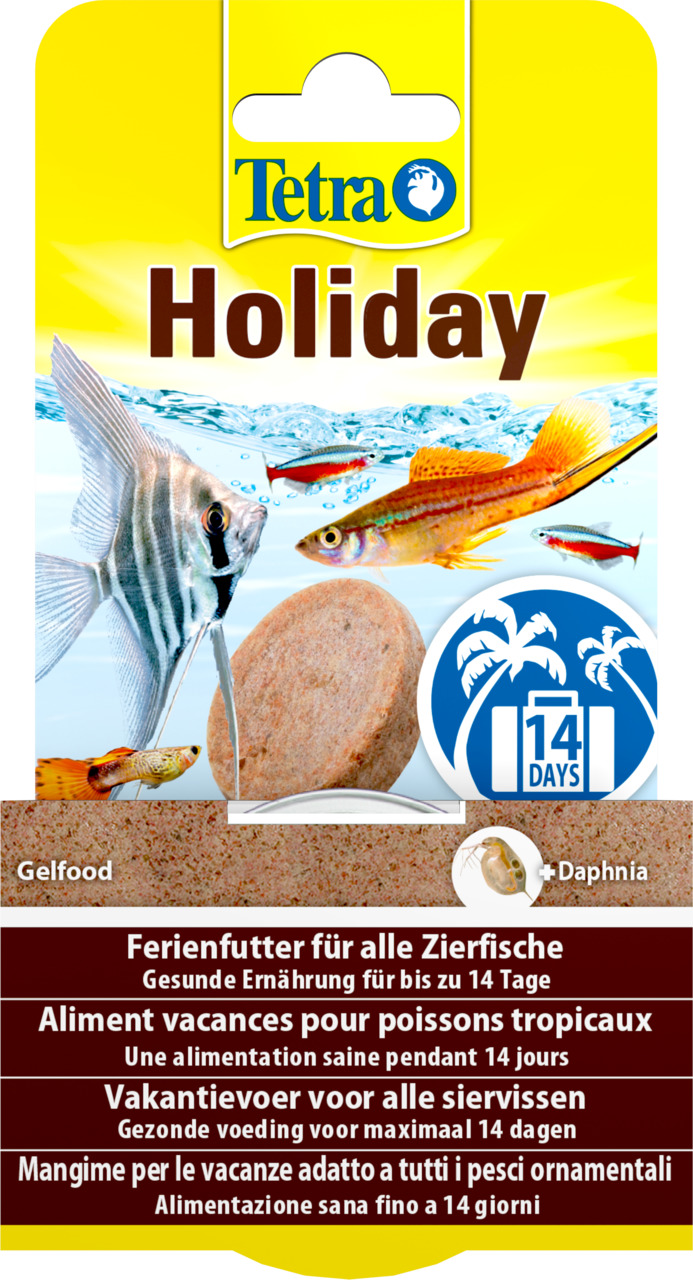 Tetra Holiday