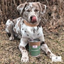 Vorschaubild Paws&Patch SEEALGENMEHL 250g