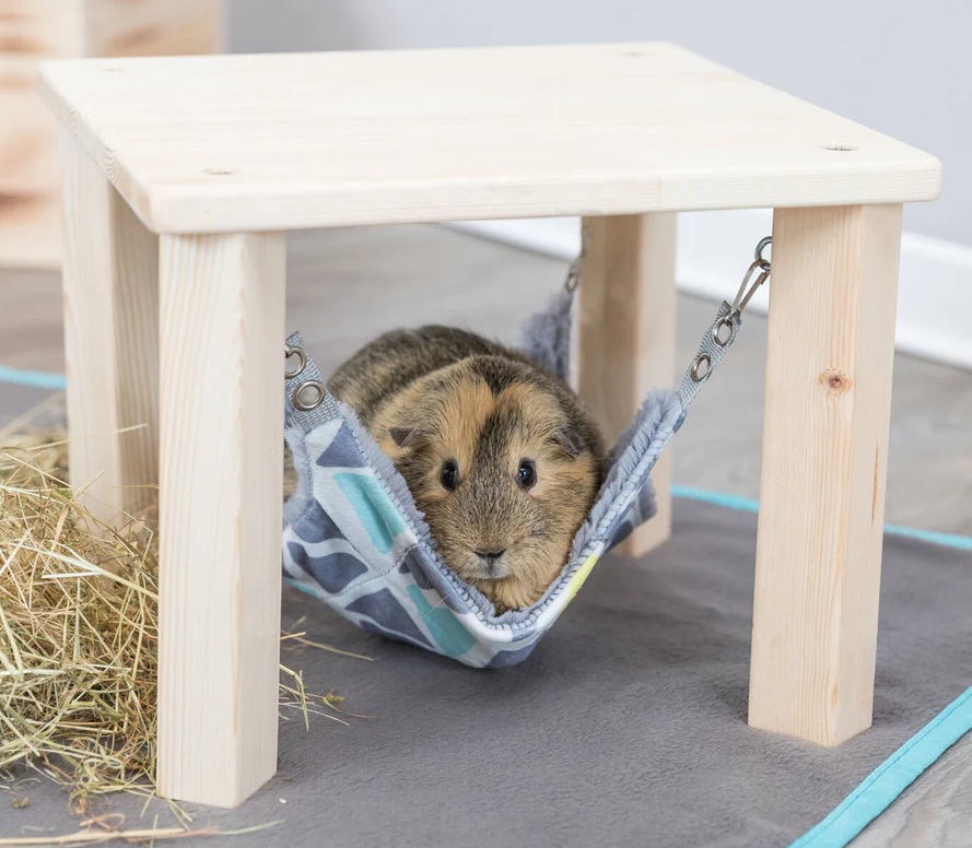 TRIXIE Unterstand mit Hängematte Sunny, 37 × 29 × 37 cm, bunt/grau