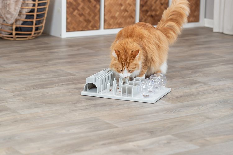 TRIXIE Cat Activity Fun Board XXL, 30 × 40 cm
