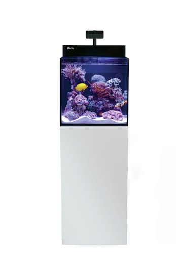 Red Sea MAX NANO Cube G2 mit Schrank Aquarium mit Schrank