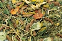 Vorschaubild JR FARM Grainless Health Mix Zwergkaninchen Kleintierfutter