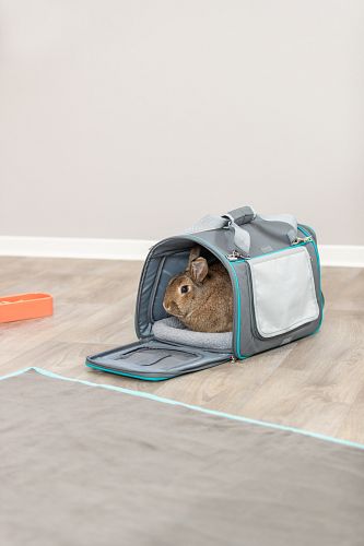TRIXIE Wohn- und Transporttasche Vicky, 40 × 27 × 28 cm, grau