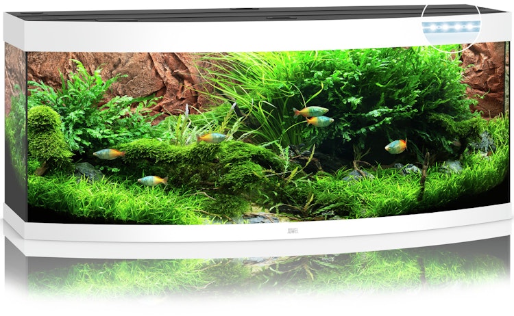 JUWEL Vision 450 LED Aquarium Set