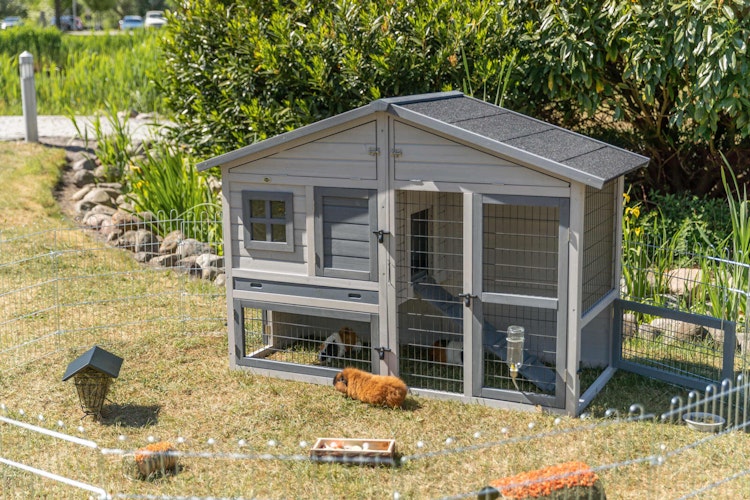 Kleintierstall, 2-stöckig, 168 × 115 × 75 cm, grau