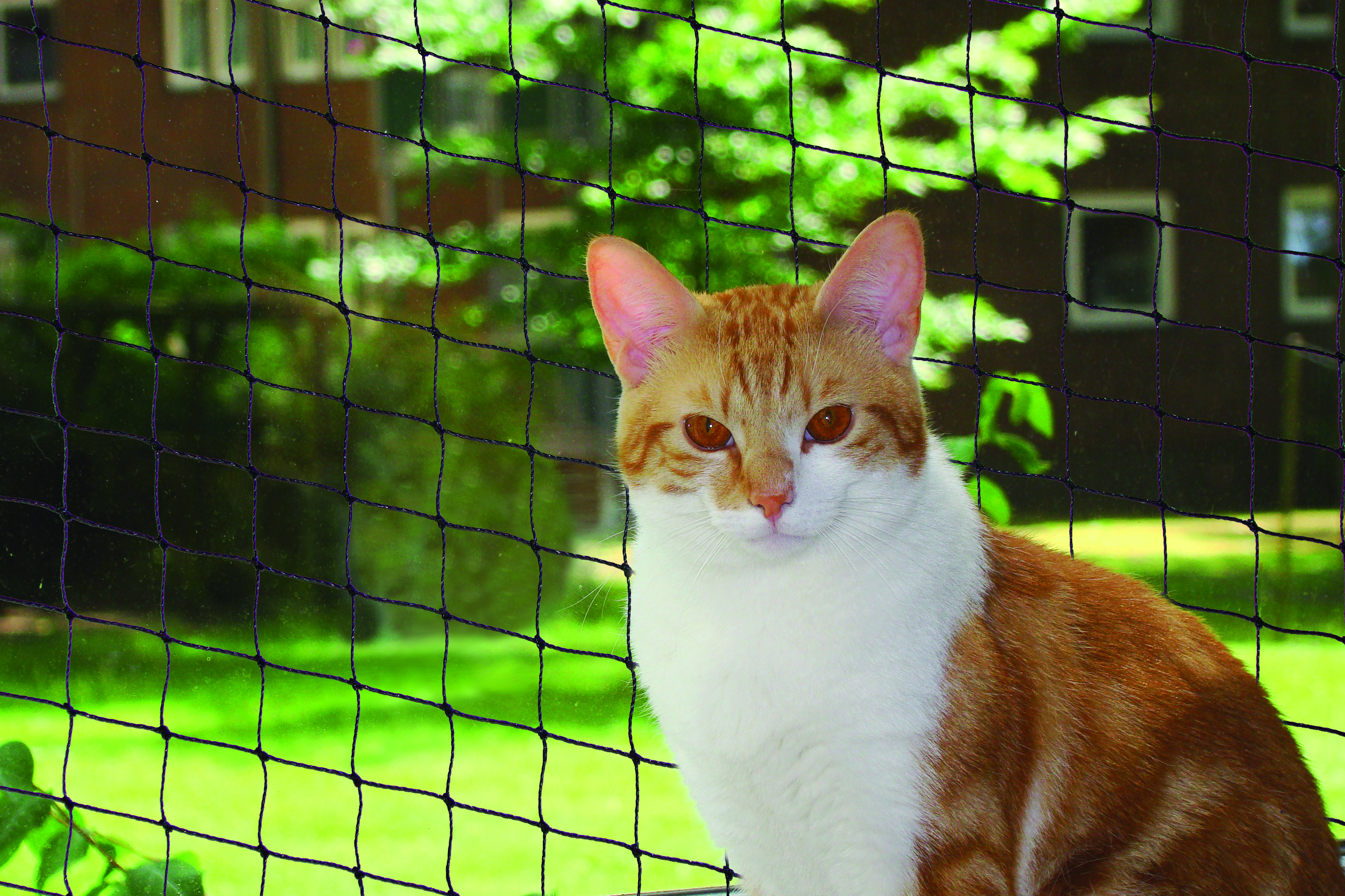 NOBBY Katzenschutznetz