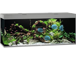 Rio 450 LED grau Aquarium