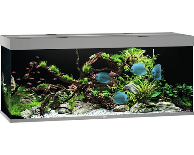 Rio 450 LED grau Aquarium