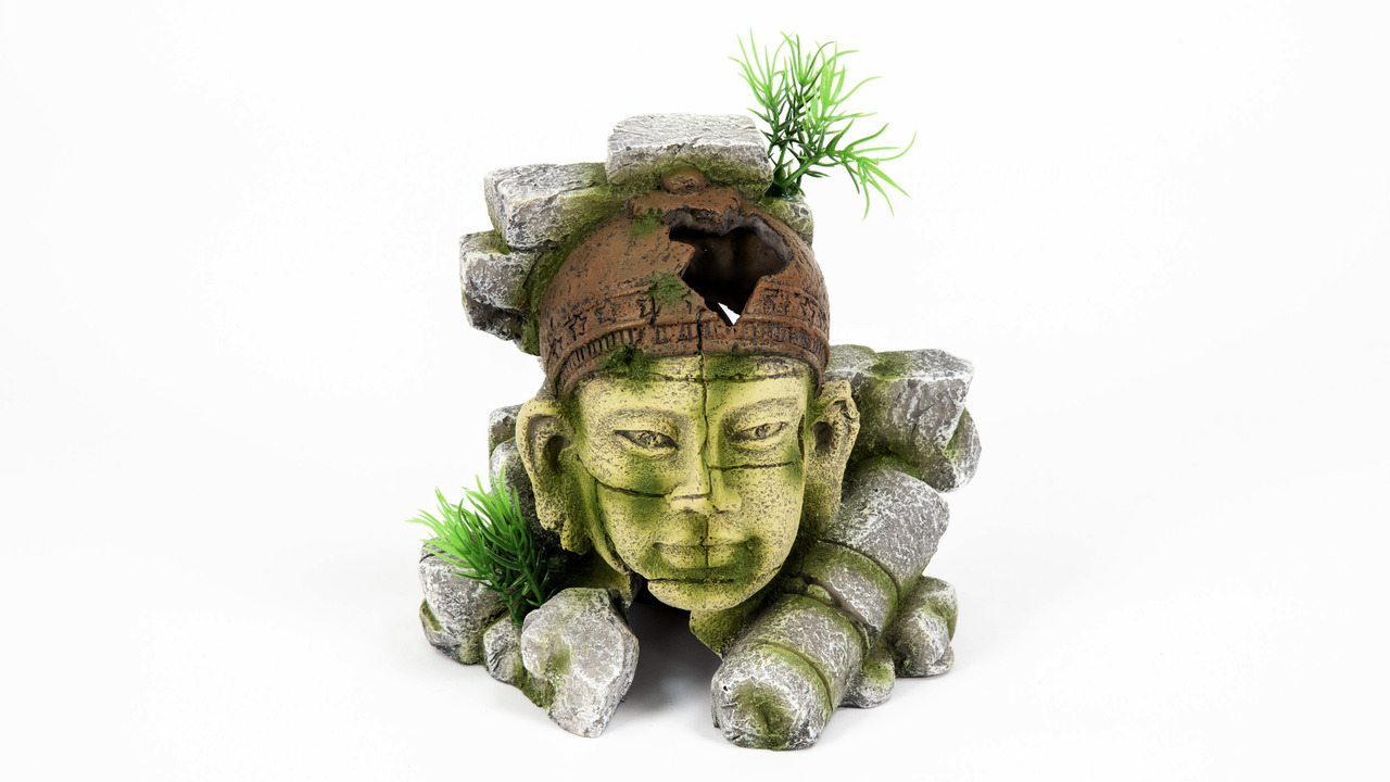 aquatlantis Ruine indigen