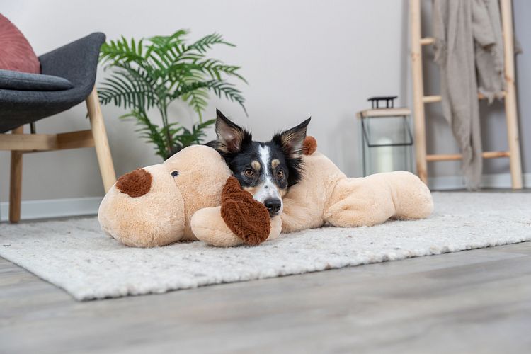 TRIXIE Ankuschelhund Benny, Plüsch, 75 cm, beige/braun