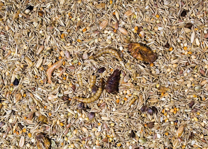 JR FARM Kleinnager-Spezial 600g Nahrungsergänzung für Kleintiere