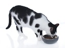 Vorschaubild HUNTER Futternapf Graz 350ml Hunde- und Katzenfutternapf
