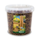Vorschaubild JR FARM Mehlwürmer Vogelsnack