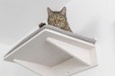 Vorschaubild TRIXIE Liegeplatte mit Kissen zur Wandmontage Katzenliegeplatz