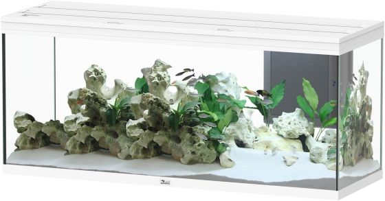 Aquatlantis Volga 450 LED Weiß Aquarium