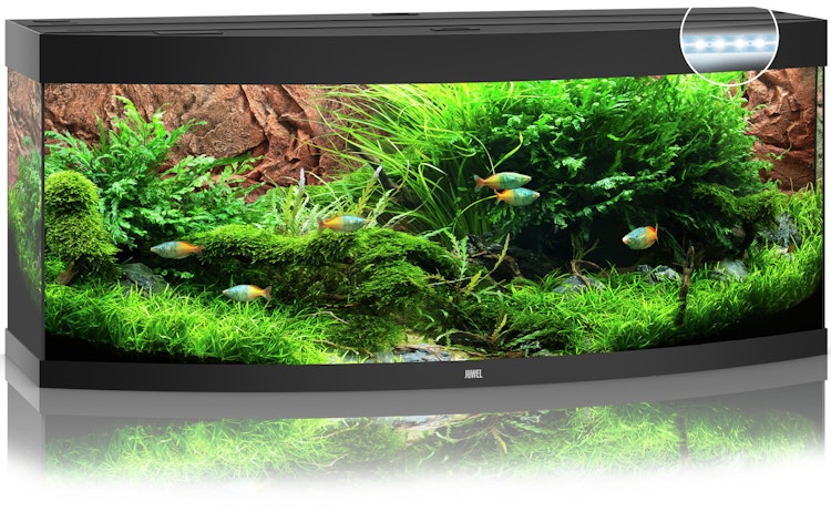 JUWEL Vision 450 LED Aquarium Set
