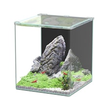 Aquatlantis Kubus Curve 44L LED - Basic