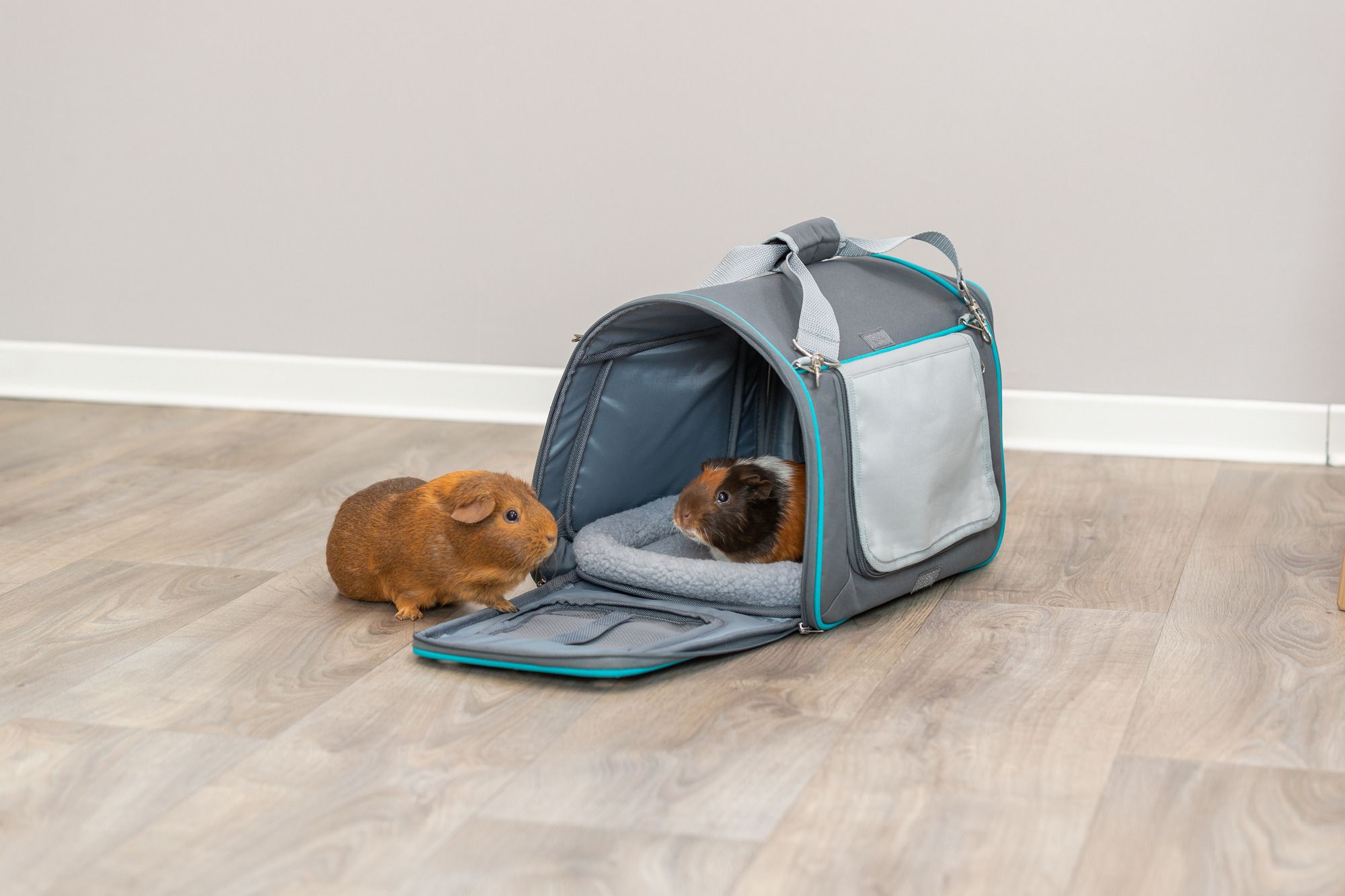 TRIXIE Wohn- und Transporttasche Vicky, 40 × 27 × 28 cm, grau