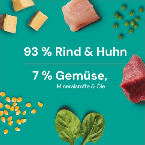 NUTRIMENT Barf in One Pansen Plus