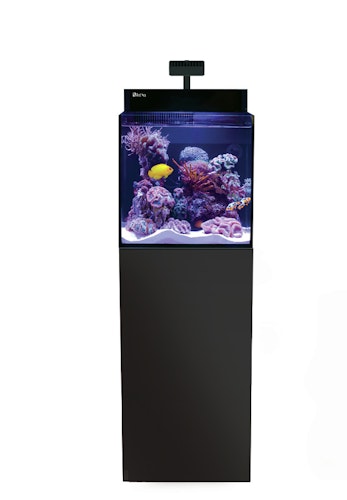 Red Sea MAX NANO Cube G2 mit Schrank Aquarium mit Schrank Red Sea MAX NANO Cube G2 mit Schrank Aquarium mit Schrank