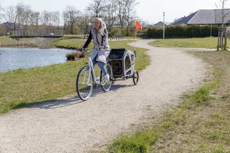TRIXIE Fahrrad-Anhänger