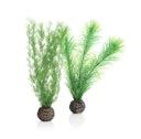 Vorschaubild biOrb Federfarn Set klein grün (46083)