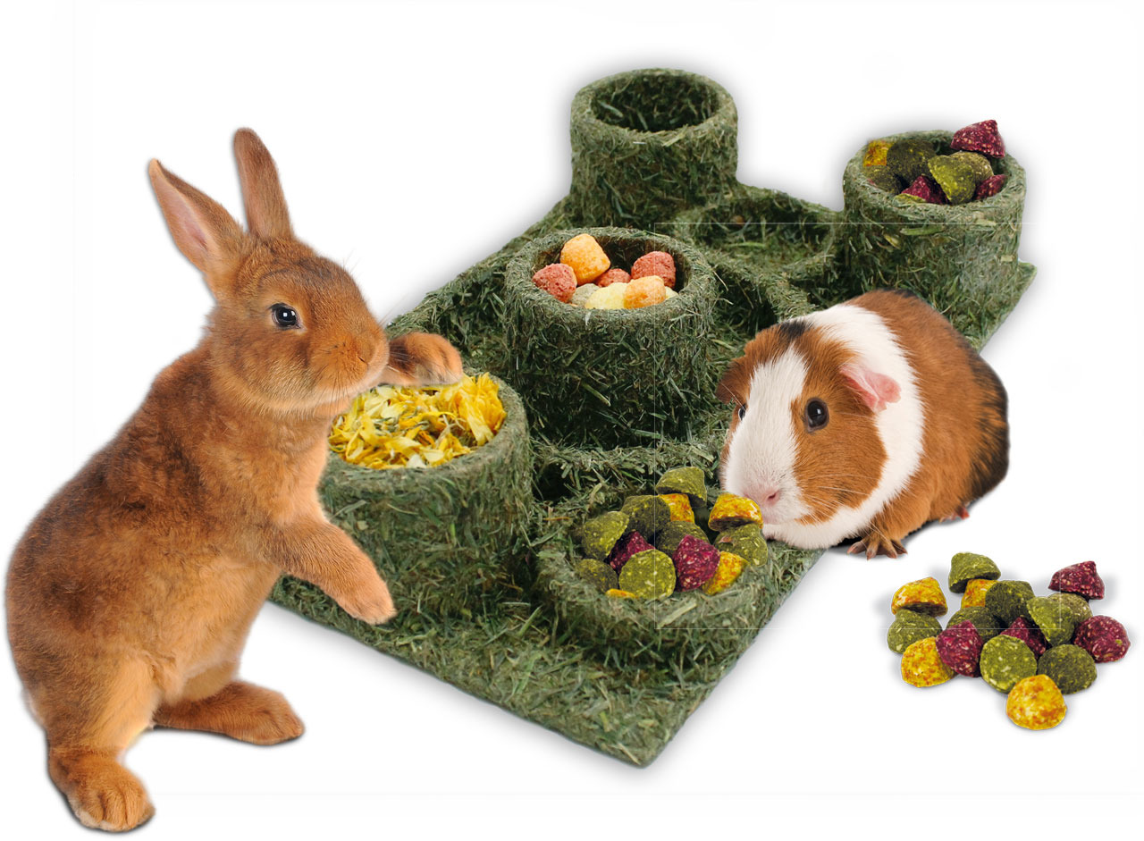 JR FARM Back to Instinct Fun-Park 275g Nahrungsergänzung für Kleintiere