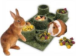 JR FARM Back to Instinct Fun-Park 275g Nahrungsergänzung für Kleintiere