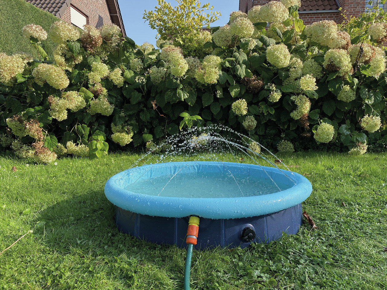 Nobby 2in1 Splash-Pool blau Abkühlung