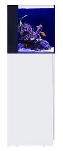 Red Sea Desktop Cube Kombi Aquarium mit Unterschrank