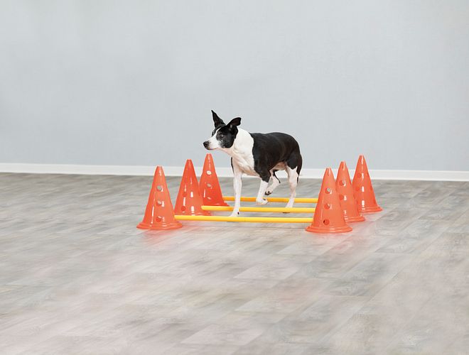 TRIXIE Pylonen-Hindernis-Set, 3 St., ø 23 × 30 cm/78 cm, orange/gelb