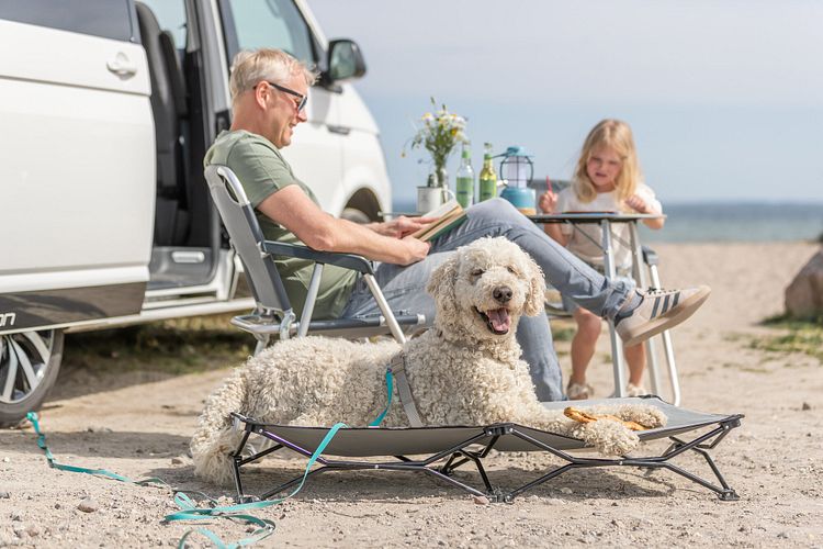 TRIXIE Camping-Bett für Hunde, beige/schwarz