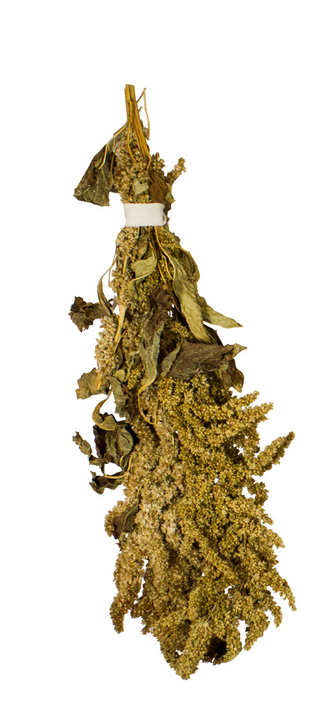 JR FARM Birds Amaranth 30g Vogelsnack