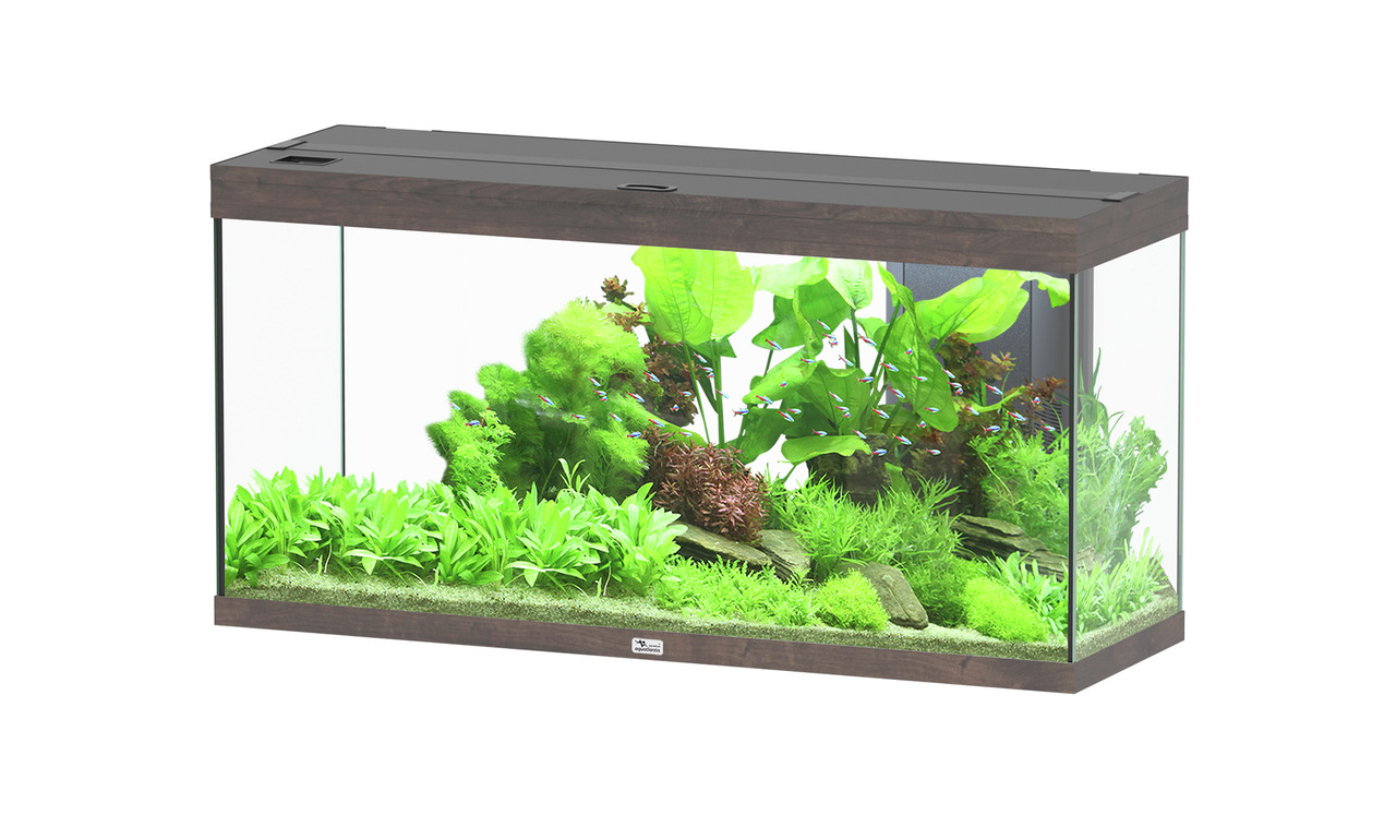 Aquatlantis Splendid 240 Wildeiche Dunkel Aquarium-Set