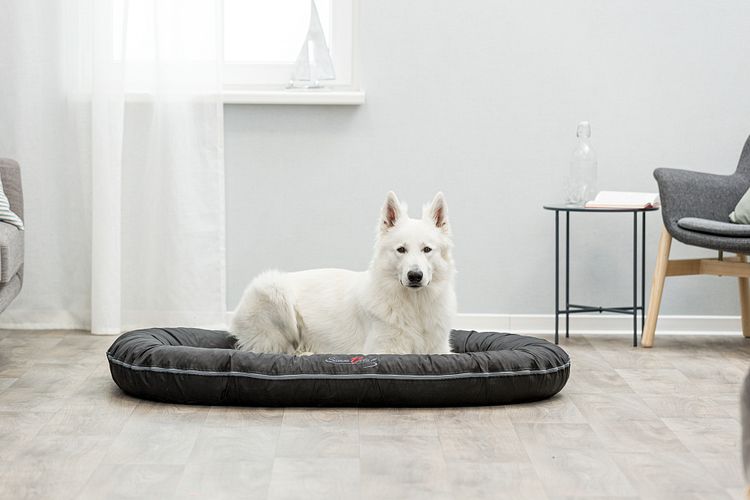 TRIXIE Kissen Samoa Vital, oval, 110 × 85 cm, schwarz