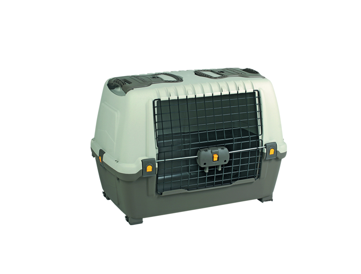 NOBBY Autobox Skudo Car 