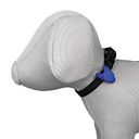 Vorschaubild Flasher für Hunde 8cm
