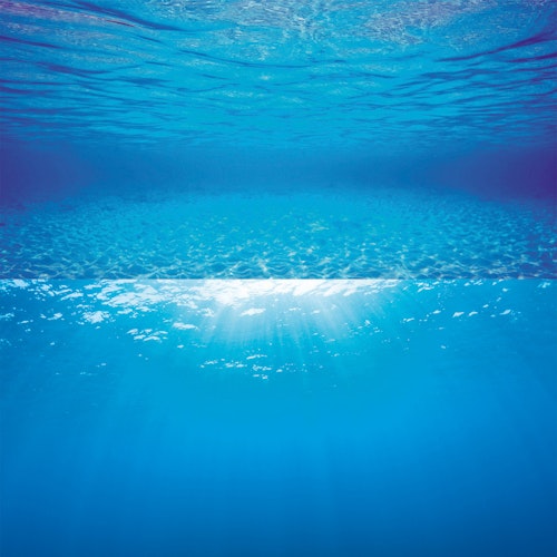 JUWEL Poster XL 150x60 Zentimeter Aquariendekoration